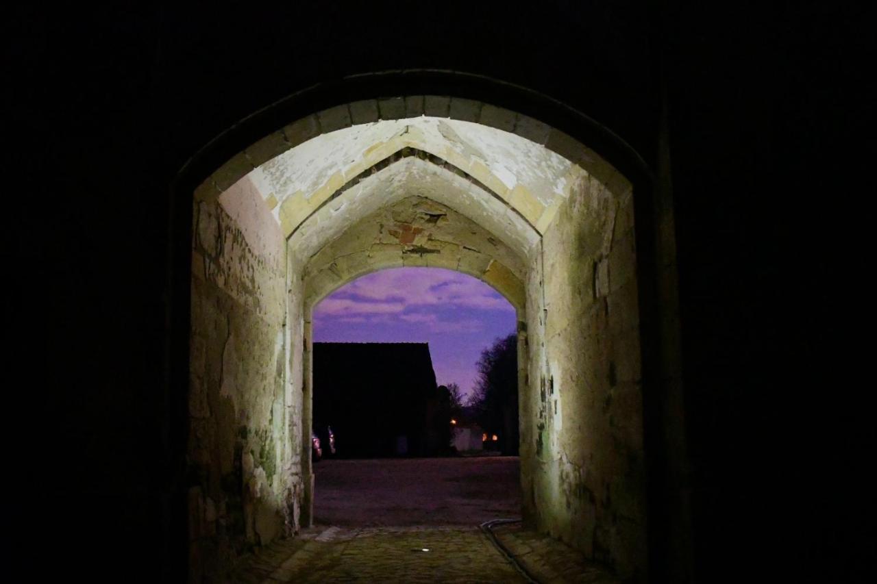 Un Chateau En Bourgogne Saincaize-Meauce 외부 사진